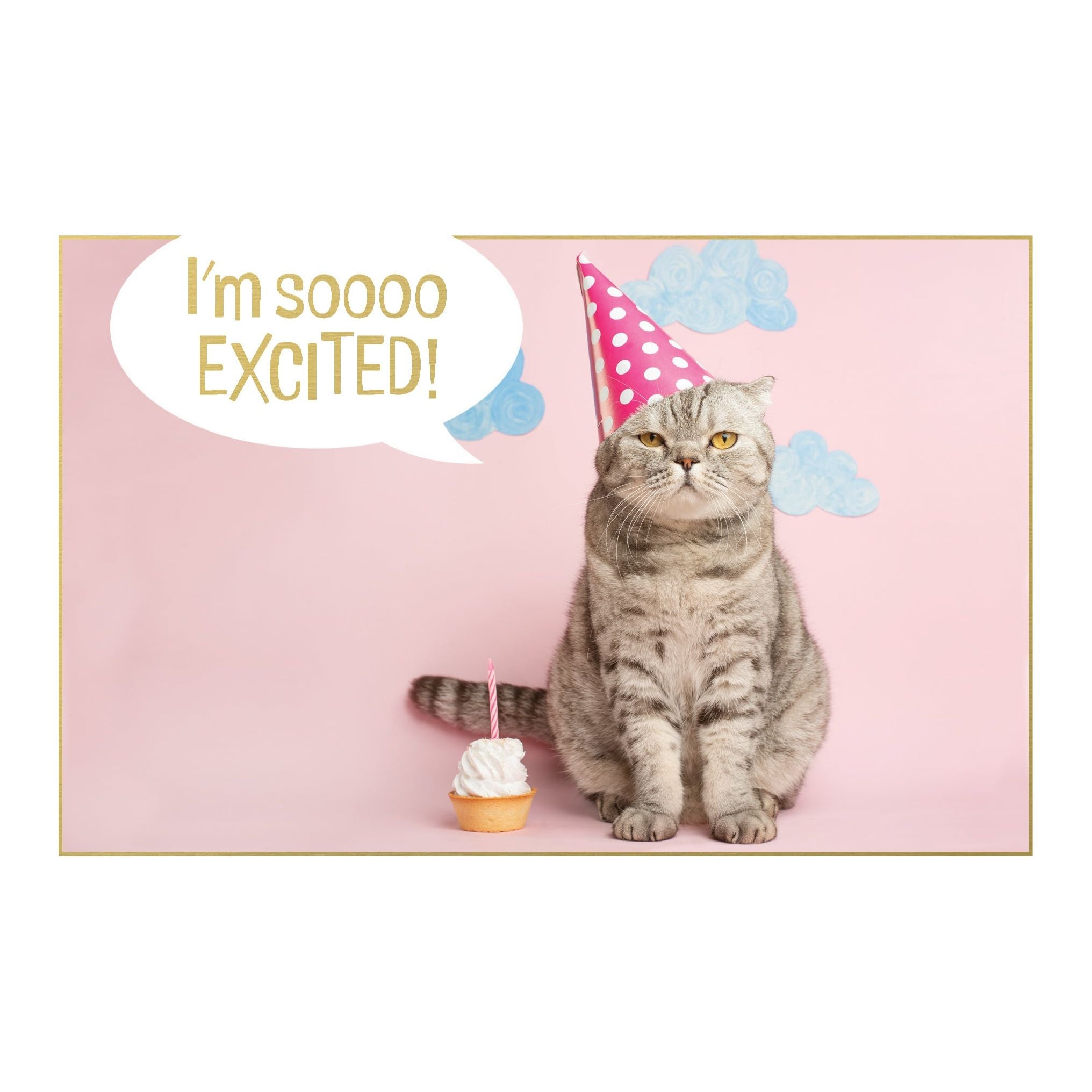 Occasion - BD Friend